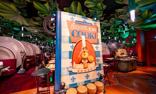 DSC01742-Improved-NR_1